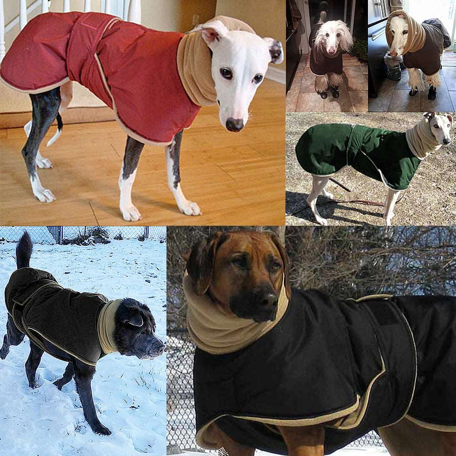 Thick Winter Waterproof Dog Jacket with Snood