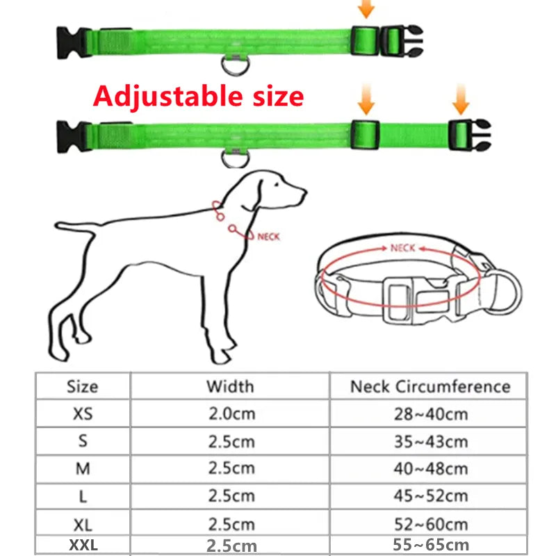 LED Rechargeable Dog Collar