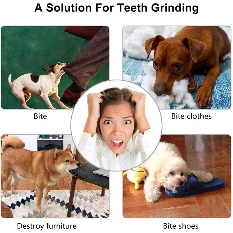 Interactive Teething Dog Treat Toy
